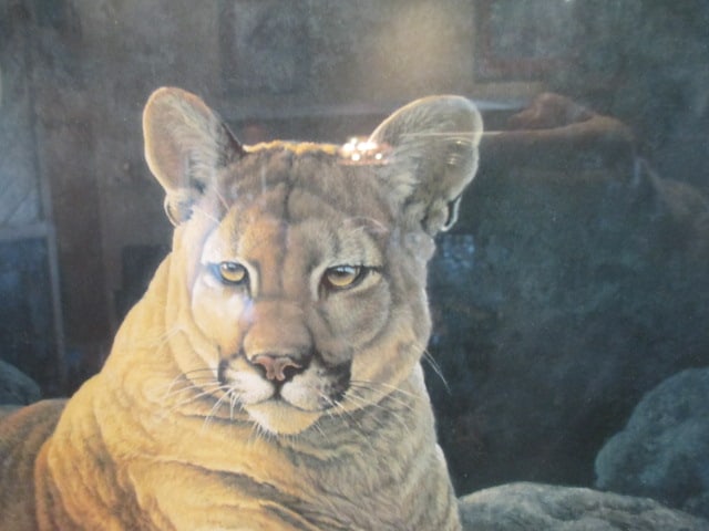 Lee Cable 1991 "Silent Shadows" Southeastern Wildlife Exposition Event Poster Print - 3