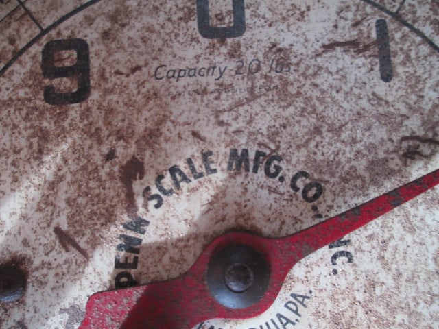Antique Chatillon & Sons 25 lb. Spring Scale and Penn Scale Mfg. Co. 20 lb. Spring Scale - 3