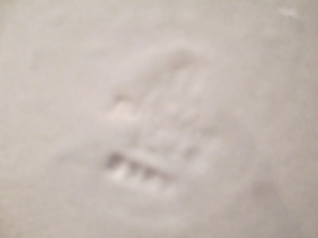 Pfaltzgraff Yorktowne Covered Casserole and Covered Vegetable Bowl - 5