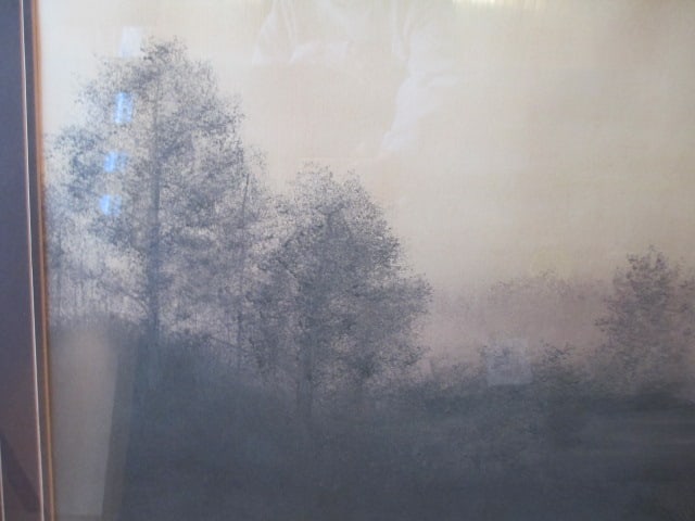 Framed and Matted Photo Art Landscape - 2