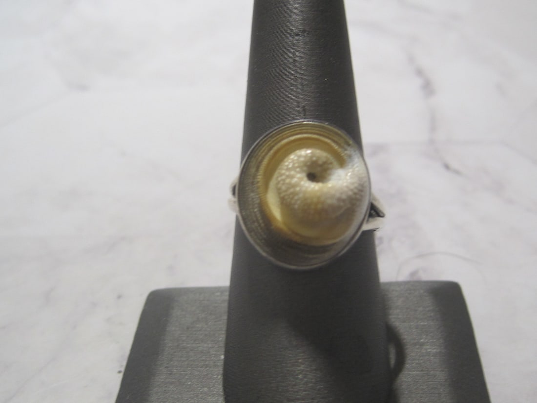 Sterling Silver Fossilize Operculum Shell Ring: Weighs 4.2 grams, Size 8 1/4, Most unusual