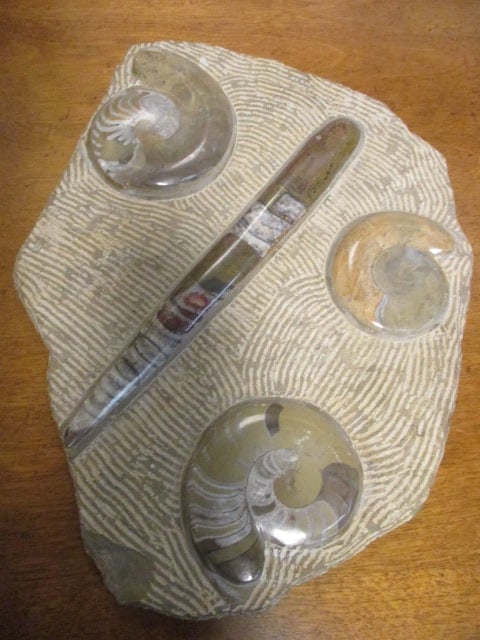 Stone Sculpture with Polished Ammonite and Fossil Specimens (1 of 5)