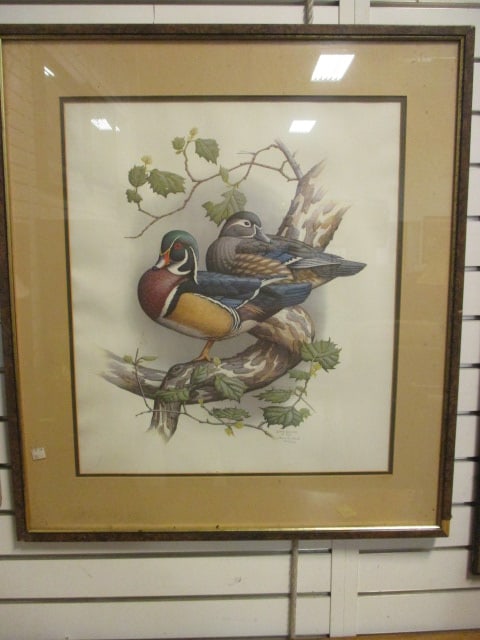 Pencil Signed Steve Dillard Ltd. Ed. Wood Duck Print (1 of 6)