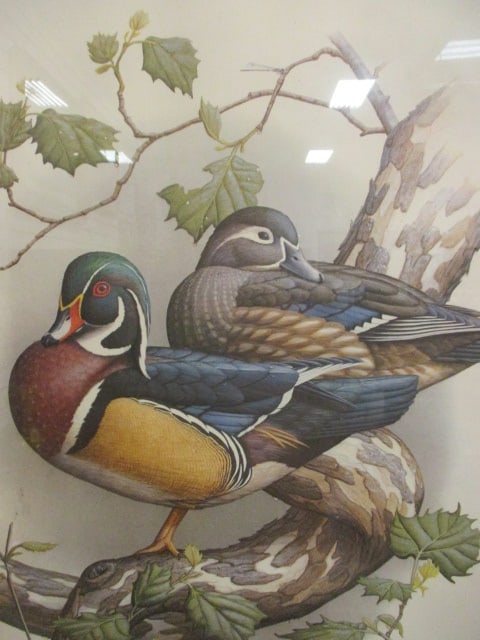 Pencil Signed Steve Dillard Ltd. Ed. Wood Duck Print - 2