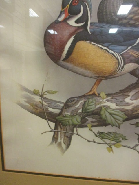 Pencil Signed Steve Dillard Ltd. Ed. Wood Duck Print - 3