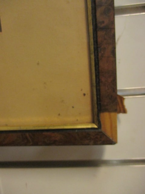 Pencil Signed Steve Dillard Ltd. Ed. Wood Duck Print - 5