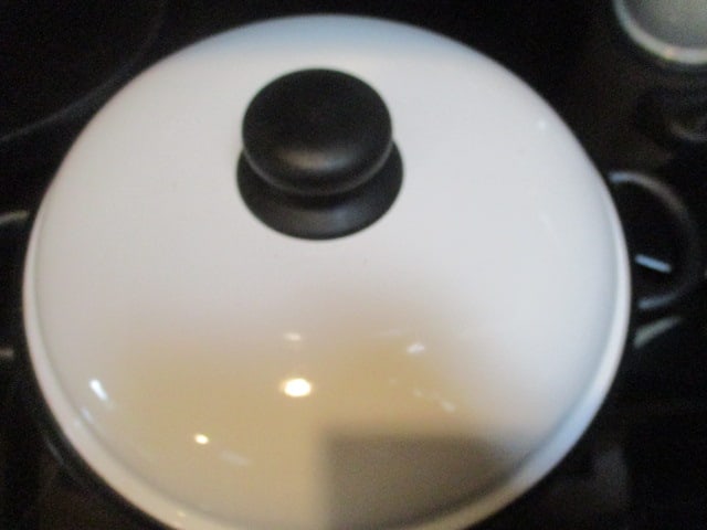 1991 JMP-Newcor Bravo Gourmet Cookware Enamel Nonstick Lidded Stock Pot - 2