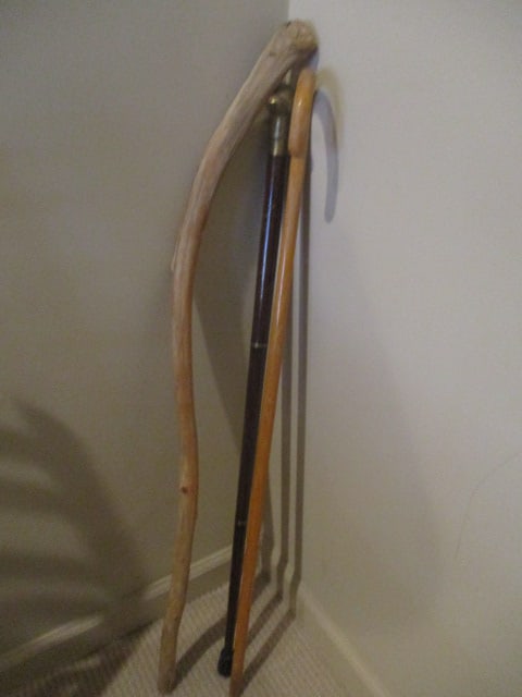 Brass Duck Head Cane, Bent Wood Hook Cane and Live Edge Walking Stick - 2