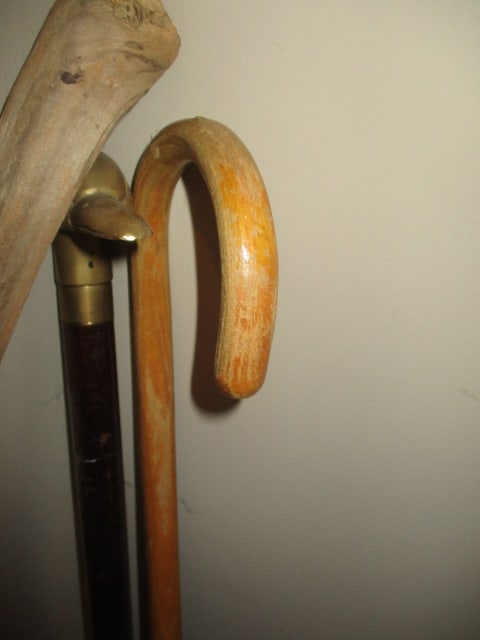 Brass Duck Head Cane, Bent Wood Hook Cane and Live Edge Walking Stick - 3