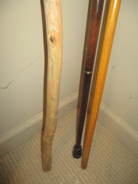 Brass Duck Head Cane, Bent Wood Hook Cane and Live Edge Walking Stick - 5