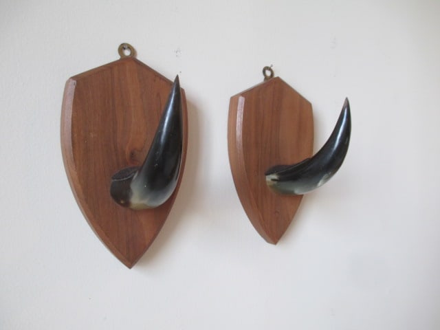 Pair of Steer Horn Coat/Hat Hook Wall Plaques (1 of 4)