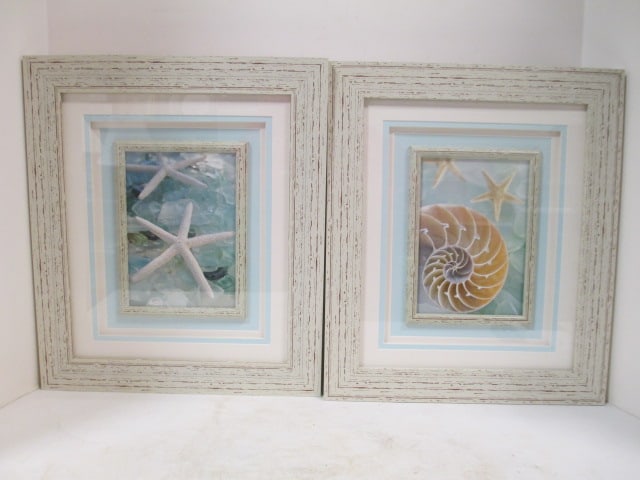 Shell Prints (Lot of 2) F/M: 12 1/2 x 14 1/2 