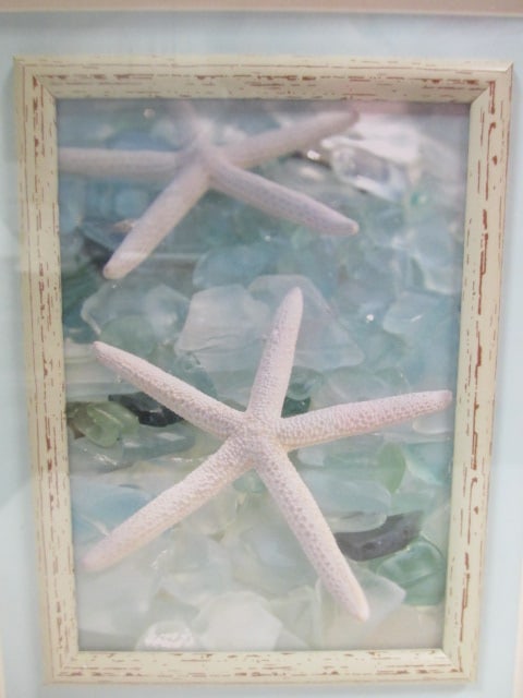 Shell Prints (Lot of 2) F/M - 3