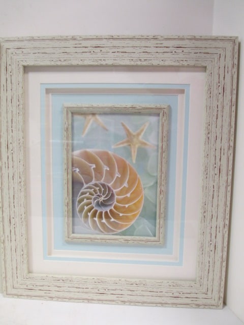 Shell Prints (Lot of 2) F/M - 4