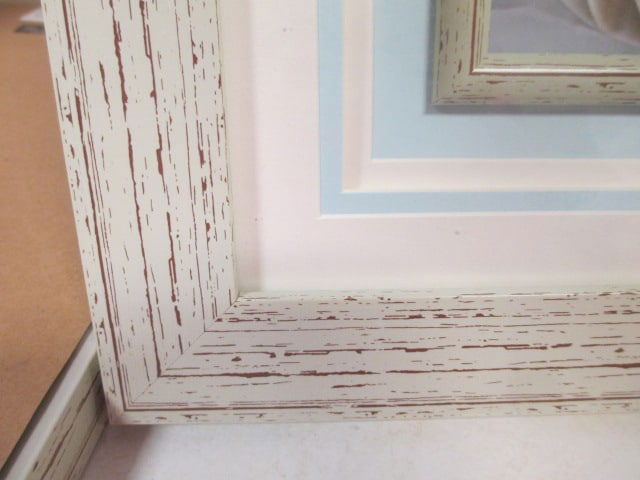 Shell Prints (Lot of 2) F/M - 7