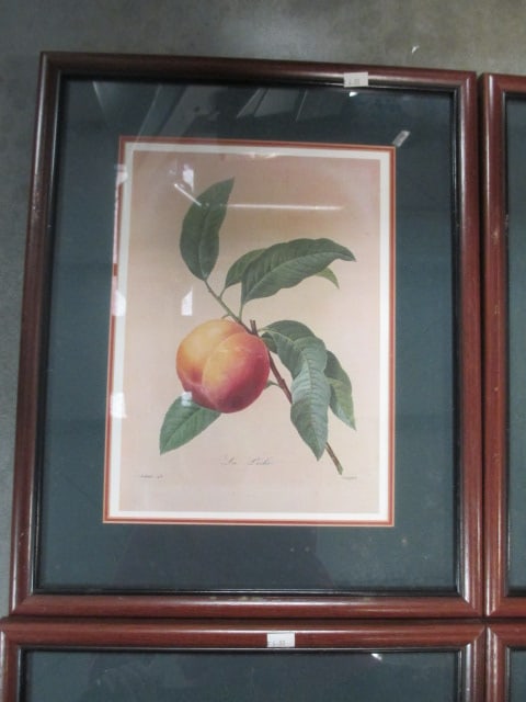 P.J. Redoute' F/M Fruit Prints (Lot of 4) - 2