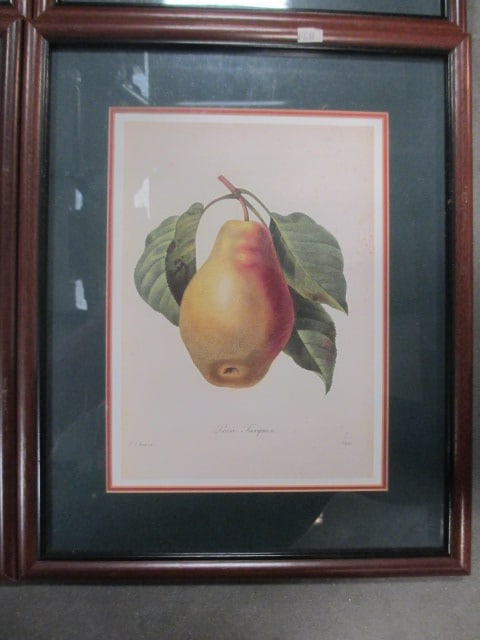 P.J. Redoute' F/M Fruit Prints (Lot of 4) - 8