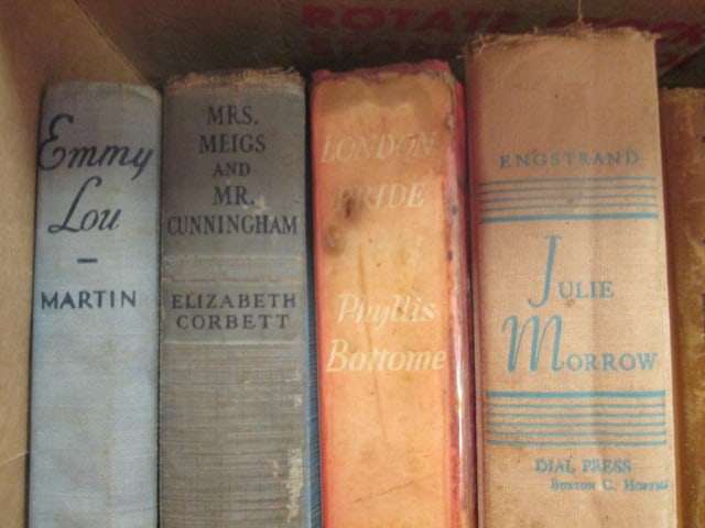 Antique Books Grouping-Emmy Lou, Julie Marrow, - 2