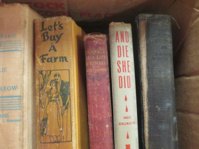 Antique Books Grouping-Emmy Lou, Julie Marrow, - 3