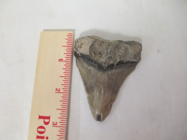 Wristwatches-Bulova,Hamilton,Gruen, Timex, Callibri Pocket Watch, - 15