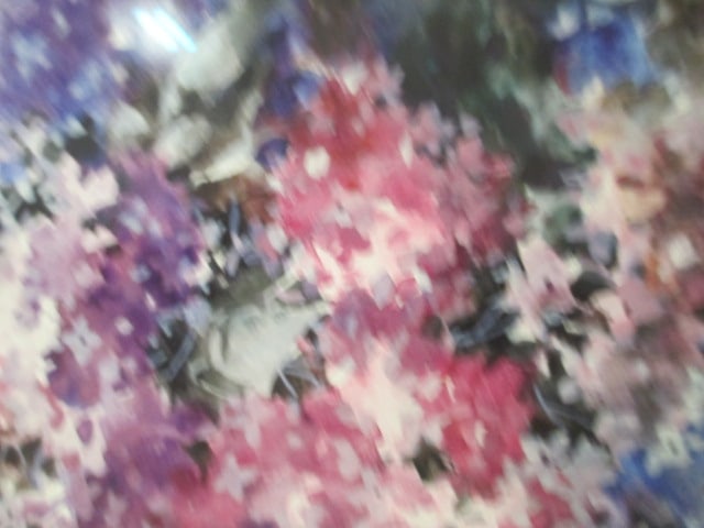 Josie Van Gent Edell 'Hydrangeas' F/M Print Signed - 3