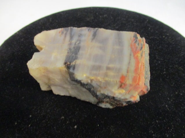 Petrified Wood Piece: 3" x 1 3/4" x 1 1/2"