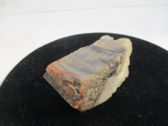 Petrified Wood Piece - 2