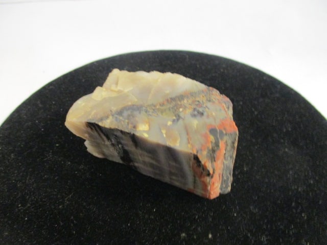 Petrified Wood Piece - 3