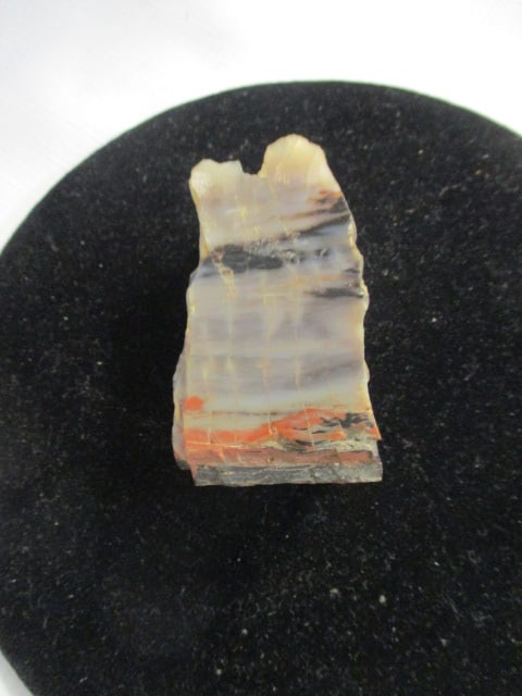 Petrified Wood Piece - 4