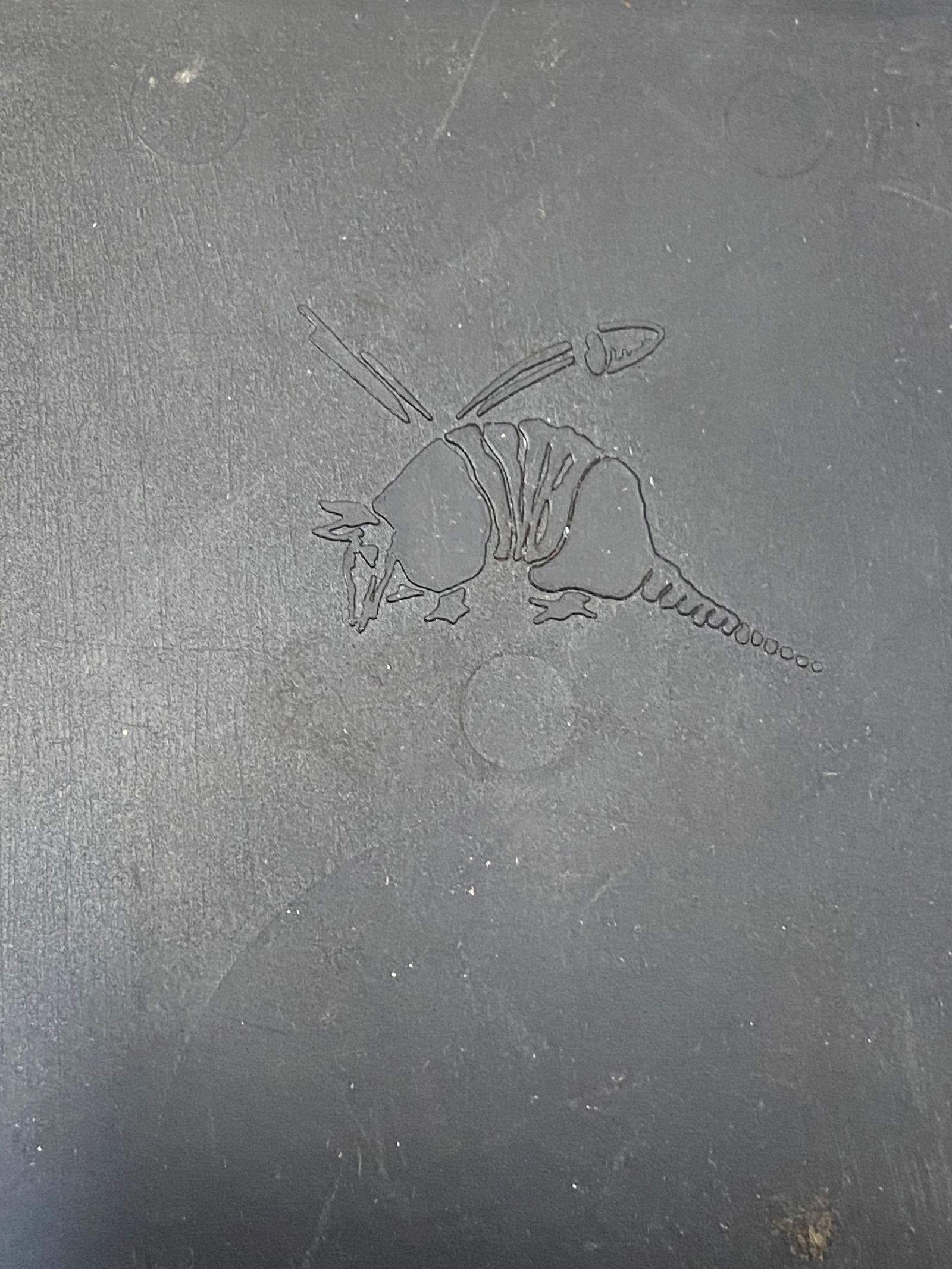 Lot of Military Accessories - 11