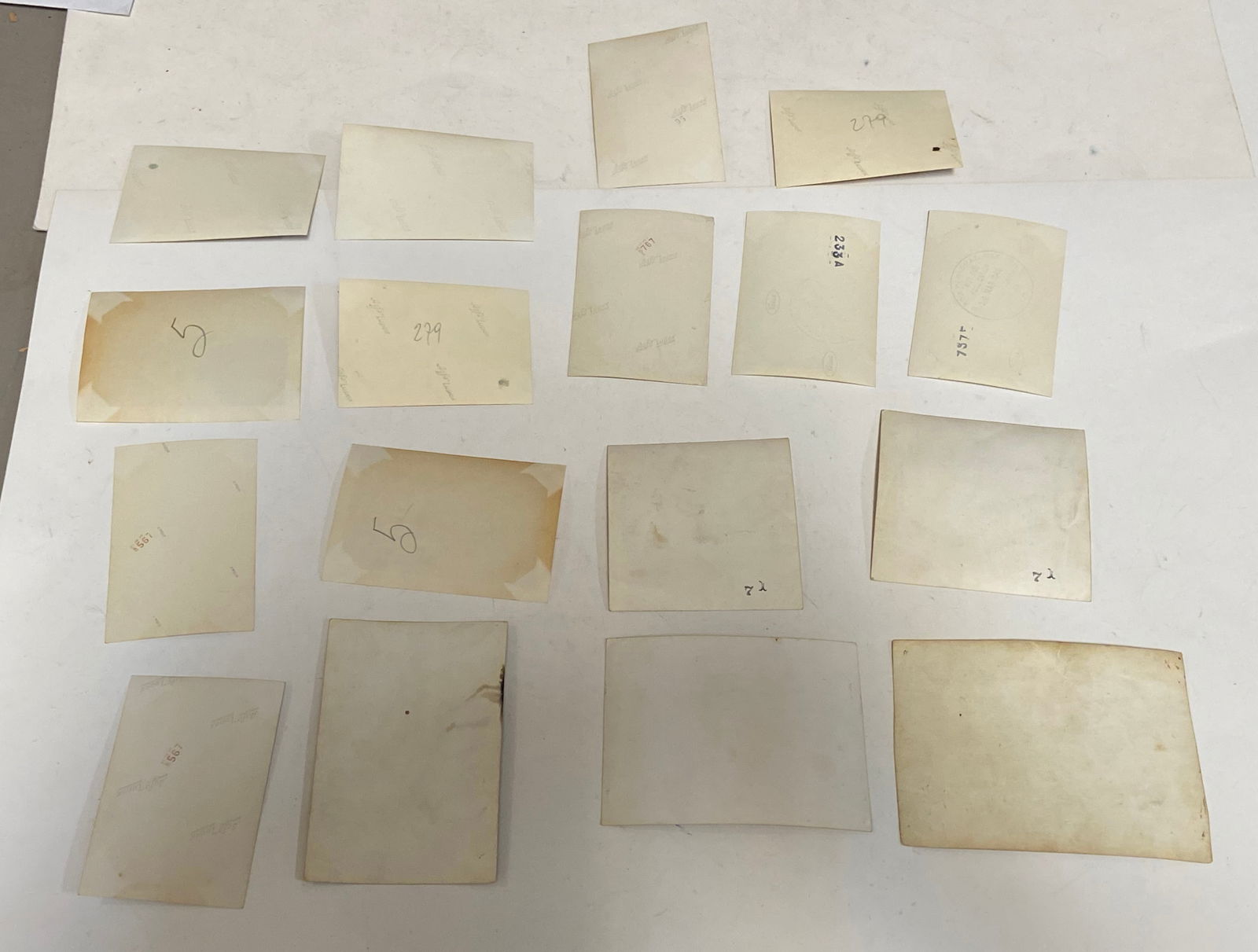 WWII Photo Grouping of Atrocities - 9