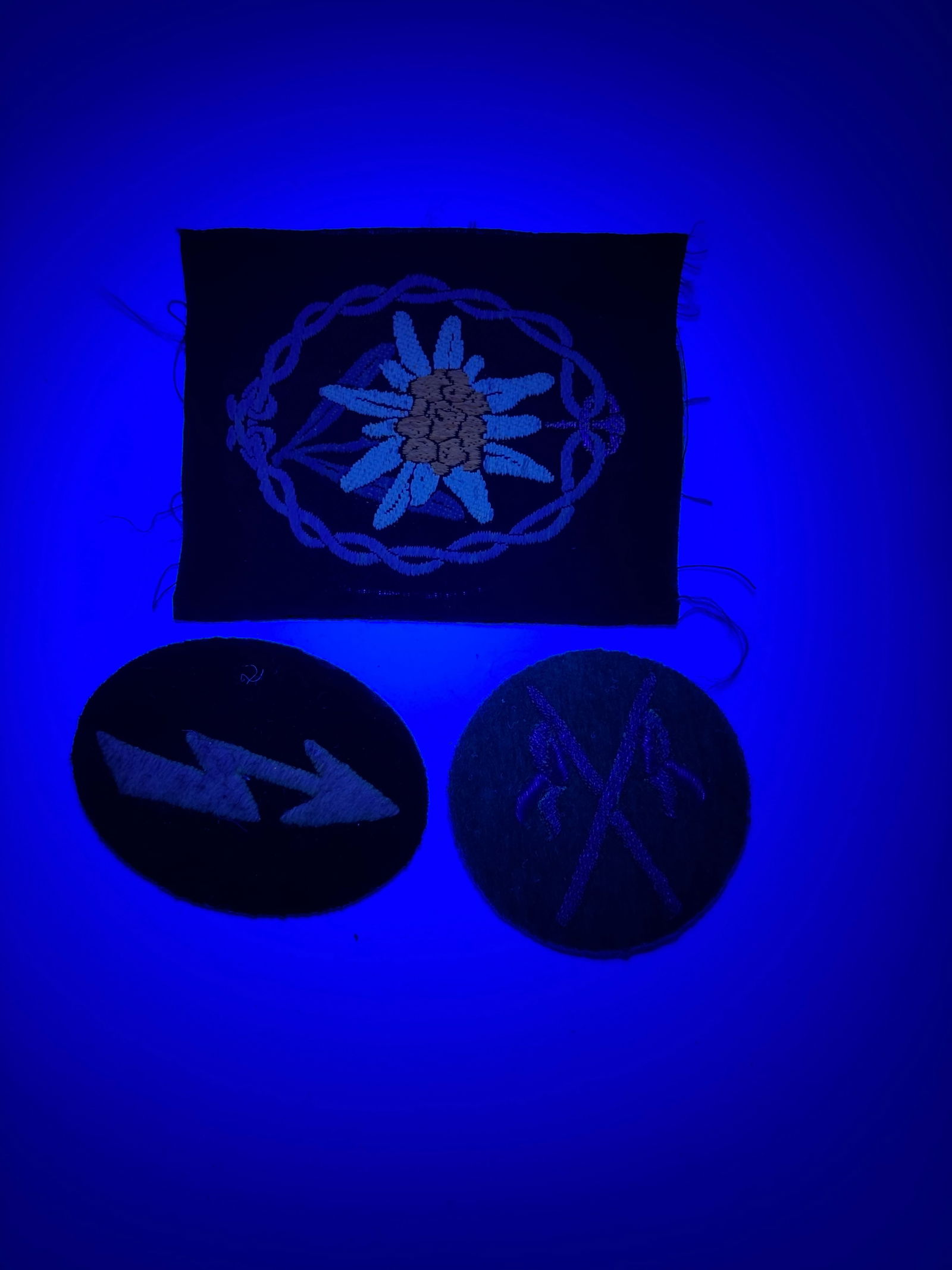 (9) German WWII Insignia, Badges and More - 12