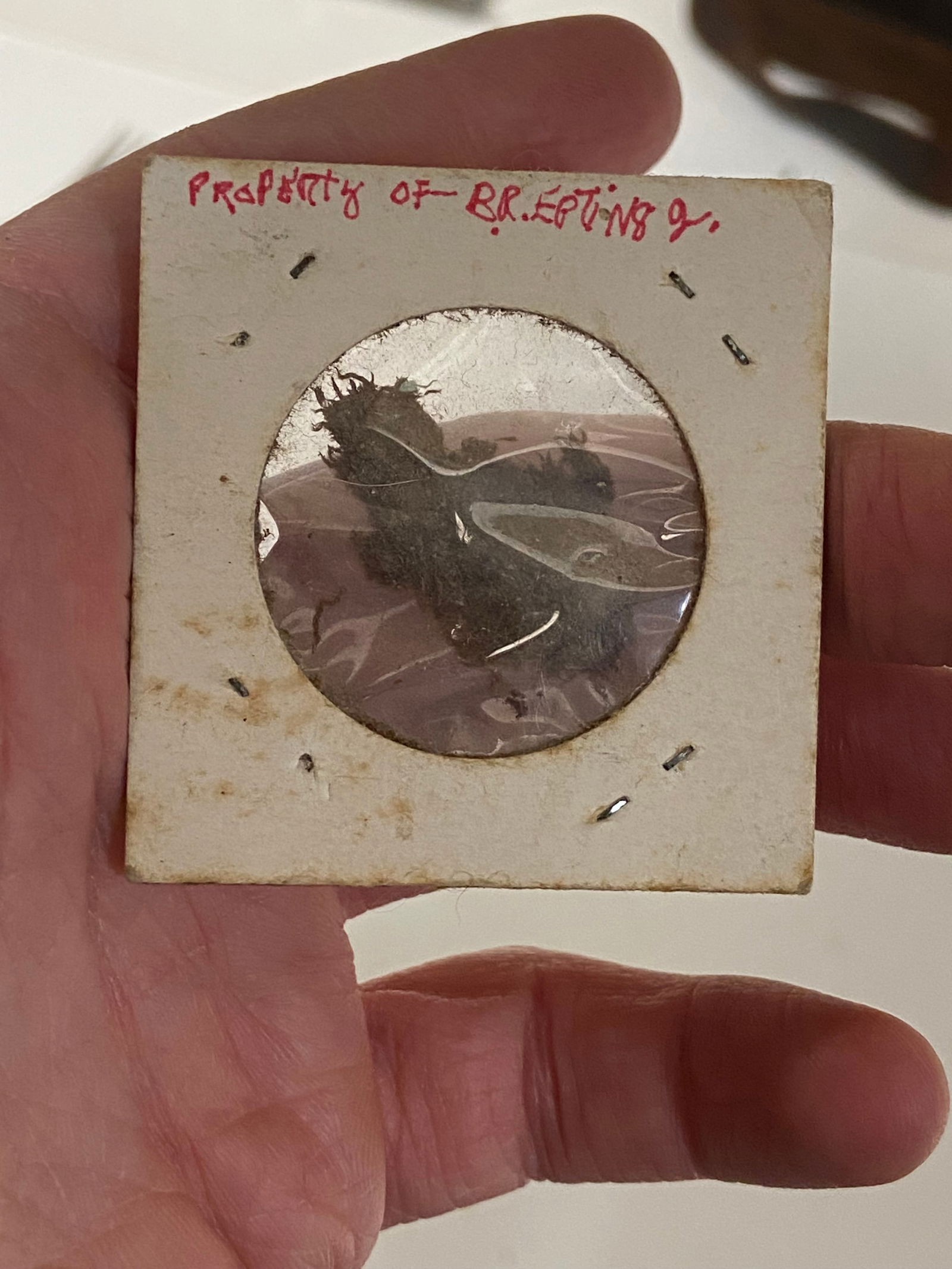 Civil War - Spanish American War Ground Dug Items - 12