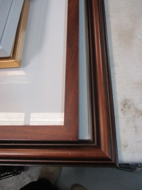 7 Framed Bird Art Photographs - 2