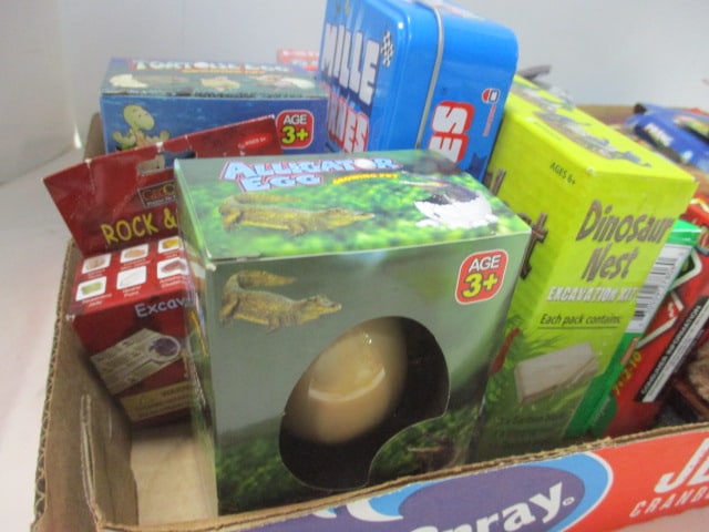 Kid's Lot - Books, Card Games, Colored Pencils and Chalk, Dinosaur Eggs, etc. - 2
