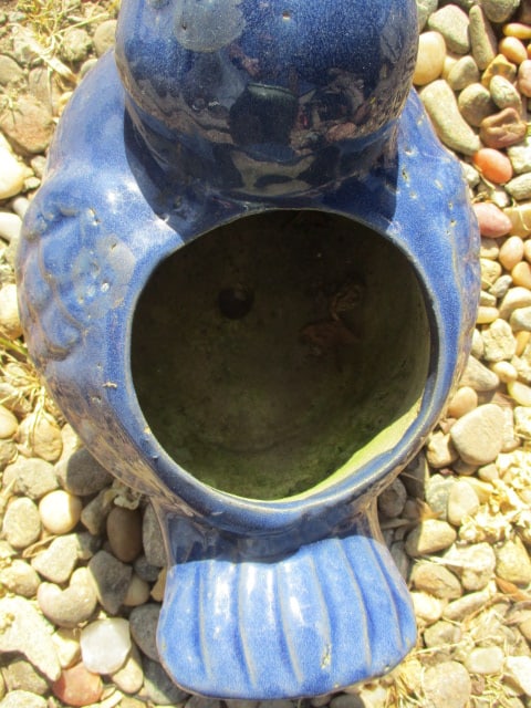 Blue Ceramic Pottery Bird Planter - 3