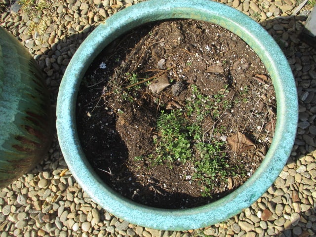 Pair of Dripped Glazed Ceramic Planters - 3
