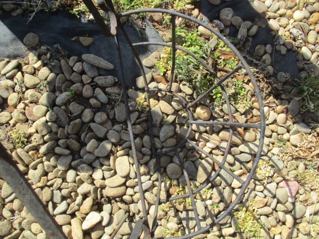 Wrought Iron Topiary Plant Trellis and Metal Plant Wall Pocket - 6