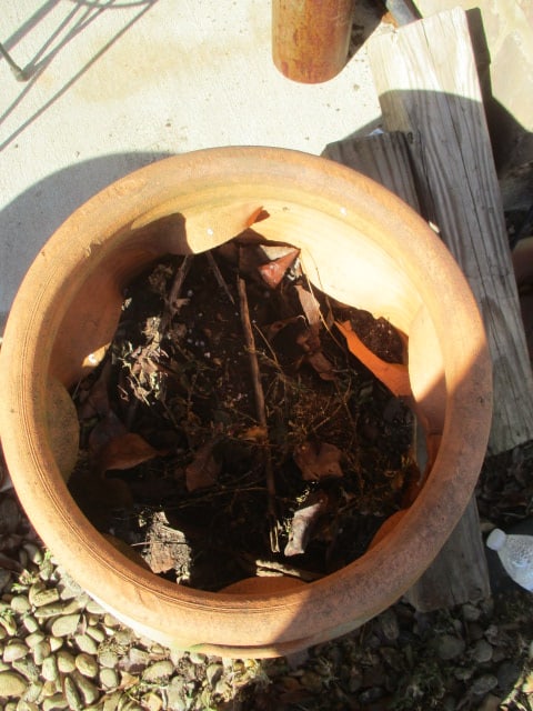 Large Terra Cotta Strawberry Planter - 2