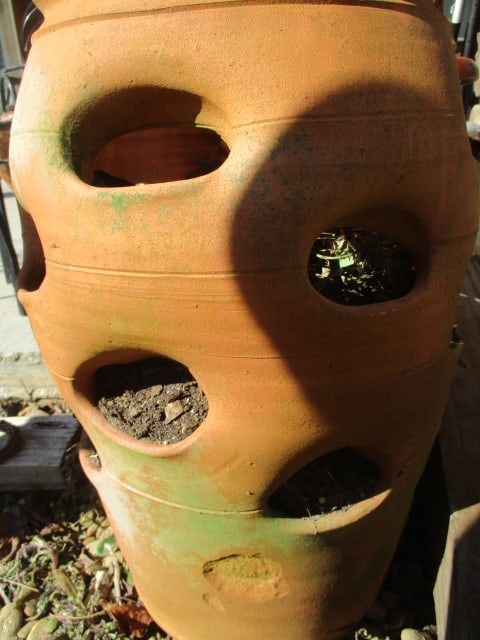 Large Terra Cotta Strawberry Planter - 3