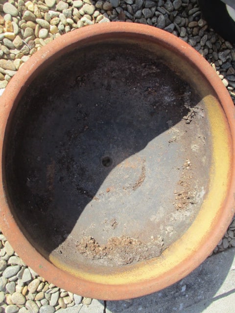 Large Terra Cotta Planter - 2