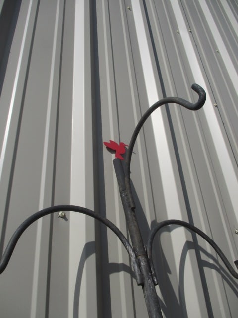 Large Black Metal Shepherd's Plant Hook with Red Bird Topper - 4