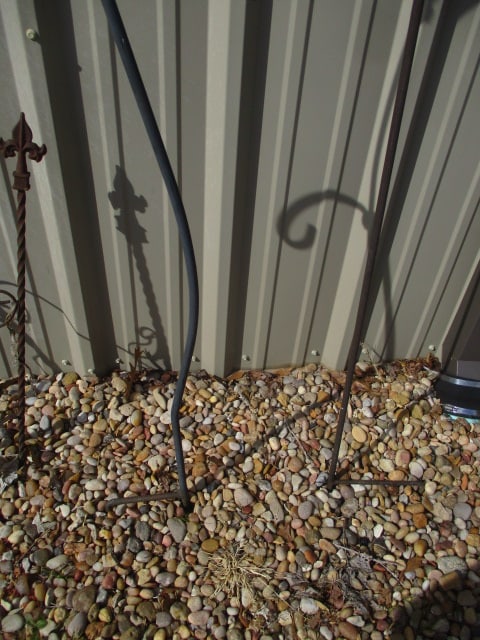 2 Curved Black Metal Shepherd's Plant Hooks - 4