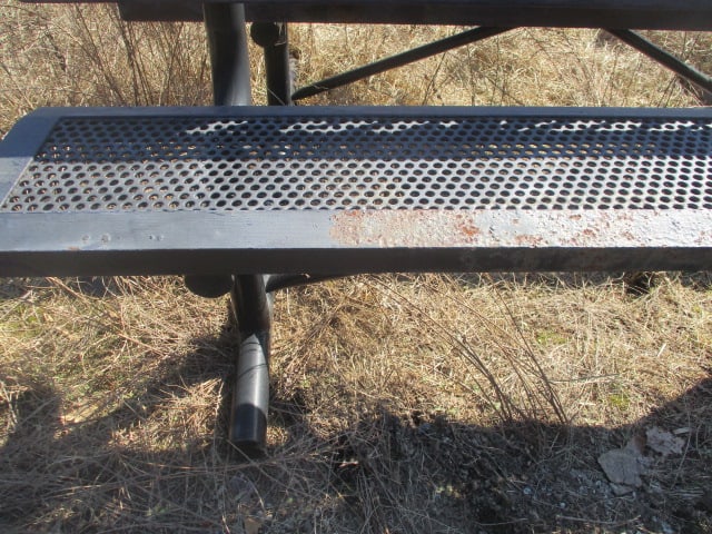 "FURMAN" and "PALADINS" Custom Iron Outdoor Benches - 6