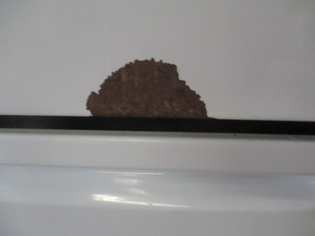 Kenmore Electric Coil Eye Stove - 7