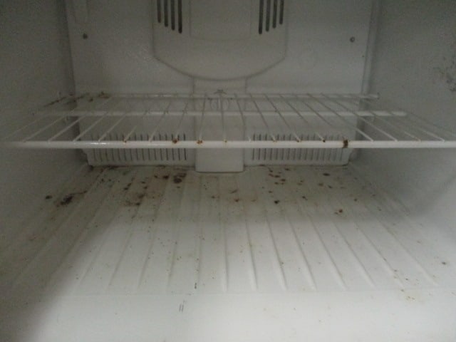 Kenmore White Top Mount Refrigerator - 7