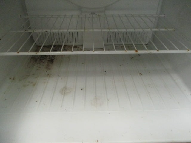 Kenmore White Top Mount Refrigerator - 3