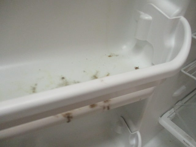 Kenmore White Top Mount Refrigerator - 9