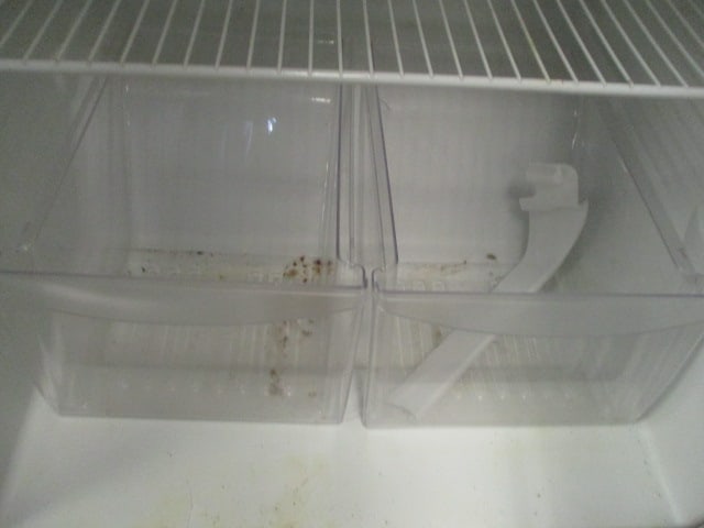 Kenmore White Top Mount Refrigerator - 10