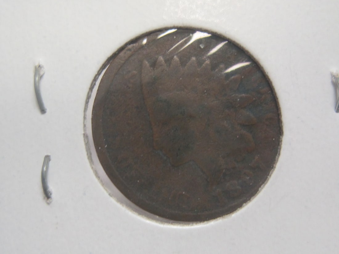 Lot of 7 Indian Head Cents - 4